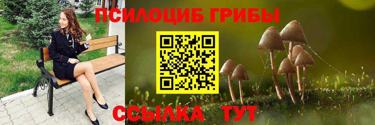 Псилоцибиновые грибы мицелий Реж