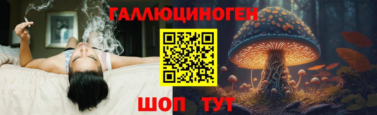 Реж  Псилоцибиновые грибы Cubensis  Псилоцибиновые грибы ЛСД  Вход с VPN 